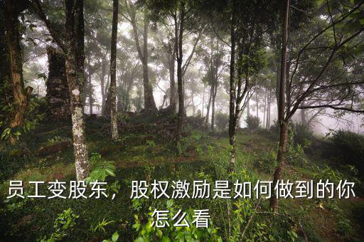 員工變股東，股權(quán)激勵(lì)是如何做到的你怎么看