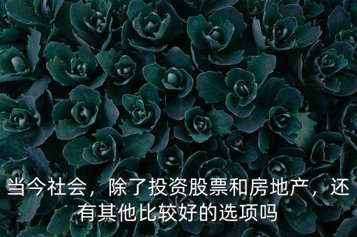 當(dāng)今社會(huì)，除了投資股票和房地產(chǎn)，還有其他比較好的選項(xiàng)嗎