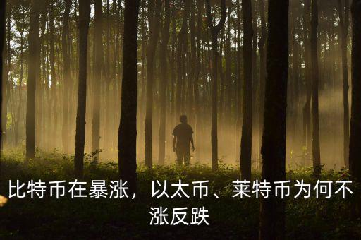 比特幣在暴漲，以太幣、萊特幣為何不漲反跌