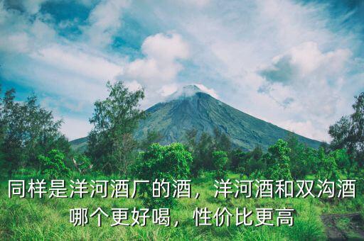 同樣是洋河酒廠的酒，洋河酒和雙溝酒哪個(gè)更好喝，性價(jià)比更高