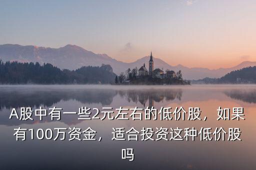 A股中有一些2元左右的低價股，如果有100萬資金，適合投資這種低價股嗎