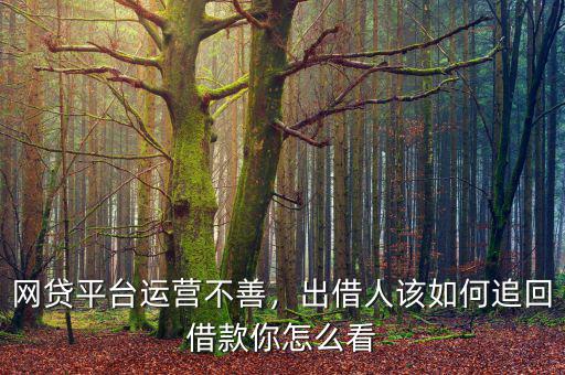 網(wǎng)貸平臺運營不善，出借人該如何追回借款你怎么看