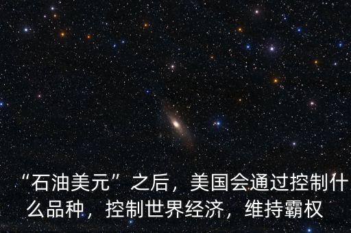 “石油美元”之后，美國(guó)會(huì)通過(guò)控制什么品種，控制世界經(jīng)濟(jì)，維持霸權(quán)