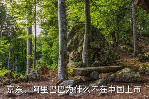 京東、阿里巴巴為什么不在中國上市