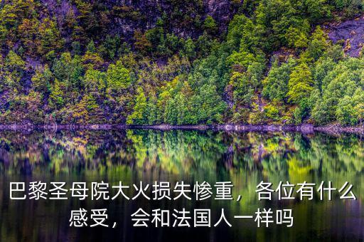 巴黎圣母院大火損失慘重，各位有什么感受，會(huì)和法國(guó)人一樣嗎