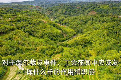 對于海爾裁員事件，工會在其中應(yīng)該發(fā)揮什么樣的作用和職能