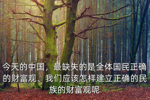 今天的中國，最缺失的是全體國民正確的財富觀、我們應該怎樣建立正確的民族的財富觀呢