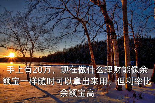 手上有20萬(wàn)，現(xiàn)在做什么理財(cái)能像余額寶一樣隨時(shí)可以拿出來(lái)用，但利率比余額寶高