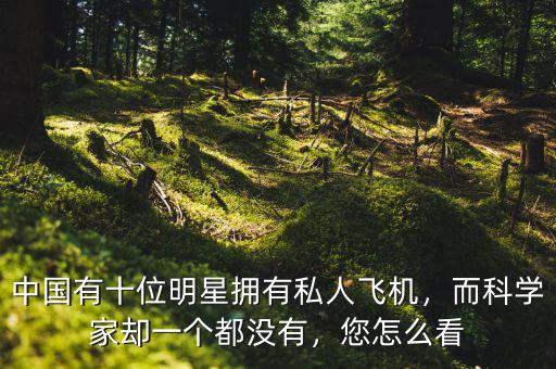 中國有十位明星擁有私人飛機，而科學(xué)家卻一個都沒有，您怎么看