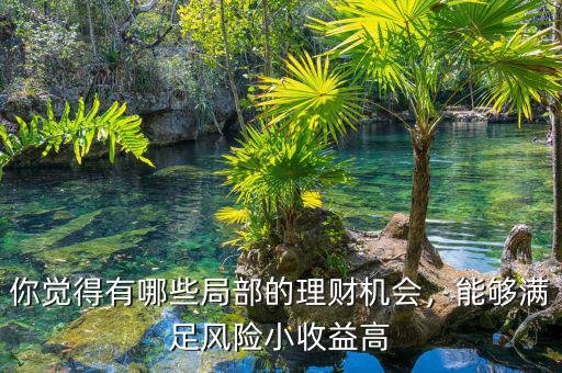 你覺得有哪些局部的理財機會，能夠滿足風險小收益高