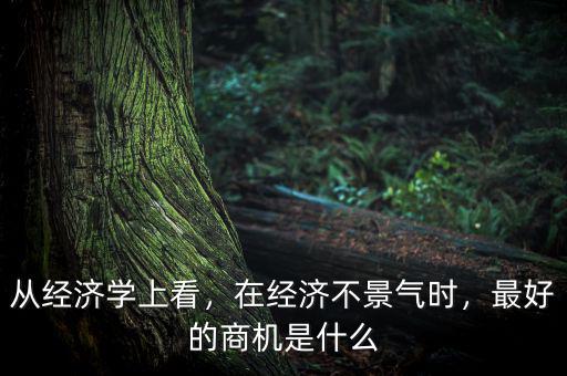 從經(jīng)濟學上看，在經(jīng)濟不景氣時，最好的商機是什么