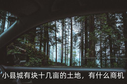 小縣城有塊十幾畝的土地，有什么商機(jī)