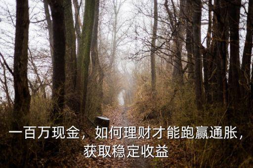 一百萬現(xiàn)金，如何理財(cái)才能跑贏通脹，獲取穩(wěn)定收益