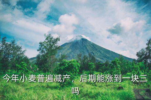 今年小麥普遍減產(chǎn)，后期能漲到一塊三嗎