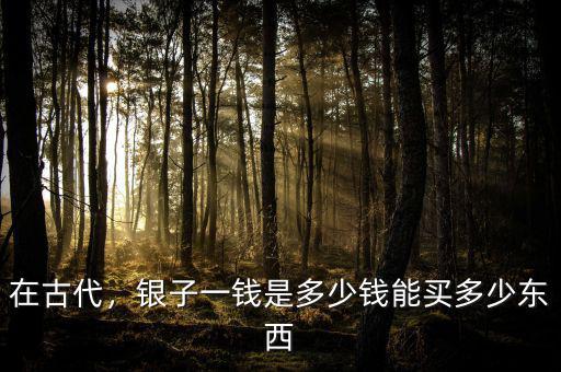 在古代，銀子一錢是多少錢能買多少東西