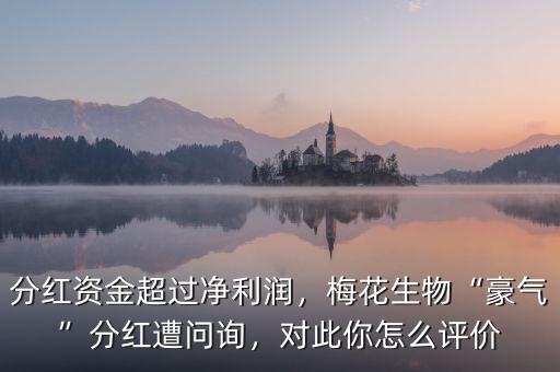 分紅資金超過凈利潤，梅花生物“豪氣”分紅遭問詢，對此你怎么評價