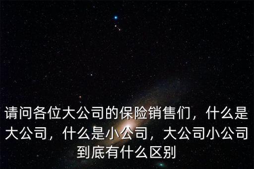 請問各位大公司的保險(xiǎn)銷售們，什么是大公司，什么是小公司，大公司小公司到底有什么區(qū)別