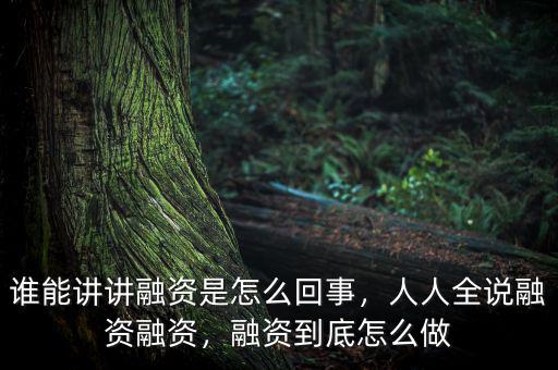誰能講講融資是怎么回事，人人全說融資融資，融資到底怎么做