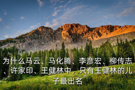 為什么馬云、馬化騰、李彥宏、柳傳志、許家印、王健林中，只有王健林的兒子最出名