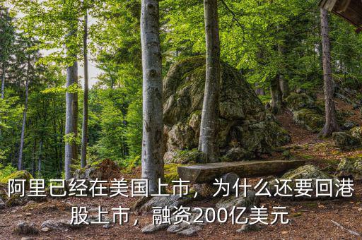 阿里已經(jīng)在美國上市，為什么還要回港股上市，融資200億美元