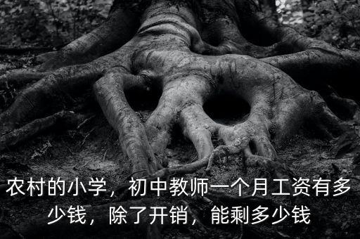 農村的小學，初中教師一個月工資有多少錢，除了開銷，能剩多少錢