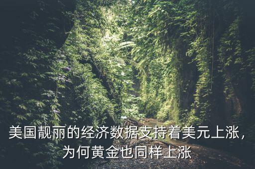 美國靚麗的經(jīng)濟(jì)數(shù)據(jù)支持著美元上漲，為何黃金也同樣上漲
