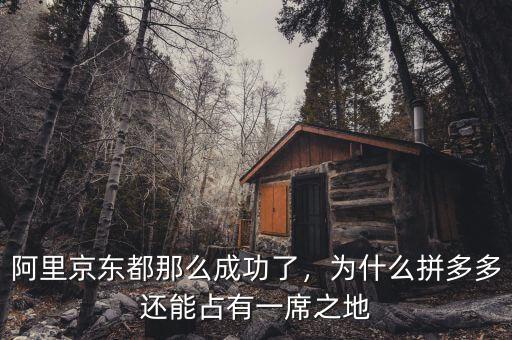 阿里京東都那么成功了，為什么拼多多還能占有一席之地