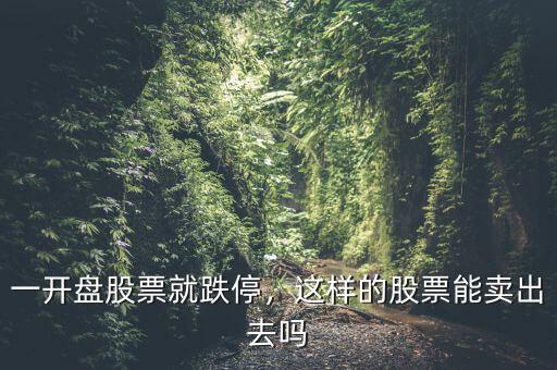 一開盤股票就跌停，這樣的股票能賣出去嗎