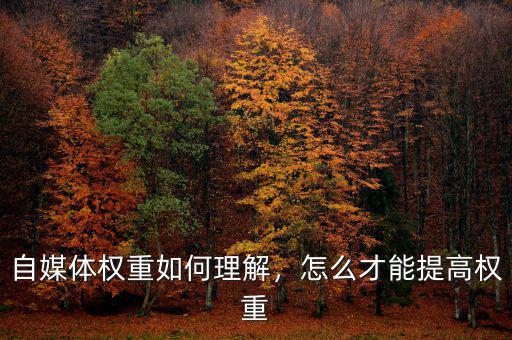 自媒體權(quán)重如何理解，怎么才能提高權(quán)重