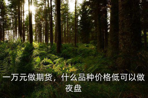 一萬(wàn)元做期貨，什么品種價(jià)格低可以做夜盤(pán)