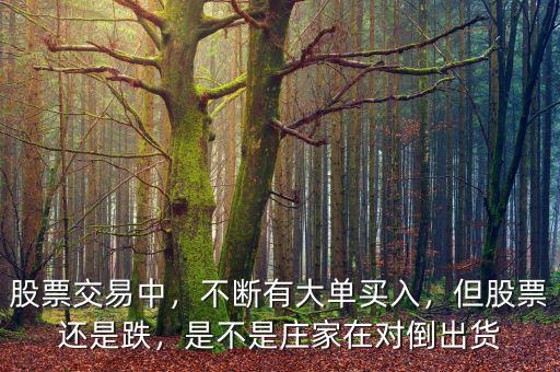 股票顯示大單買入什么意思,股票經常有大單買入