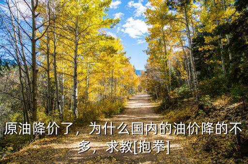 原油降價了，為什么國內(nèi)的油價降的不多，求教[抱拳]