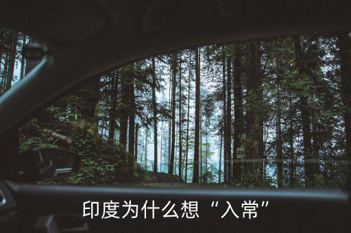 印度為什么想“入?！? class=