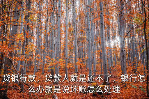 貸銀行款，貸款人就是還不了，銀行怎么辦就是說壞賬怎么處理