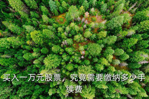 買入一萬(wàn)元股票，究竟需要繳納多少手續(xù)費(fèi)