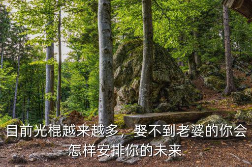 目前光棍越來(lái)越多，娶不到老婆的你會(huì)怎樣安排你的未來(lái)