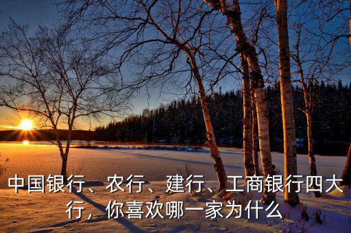 中國(guó)銀行、農(nóng)行、建行、工商銀行四大行，你喜歡哪一家為什么