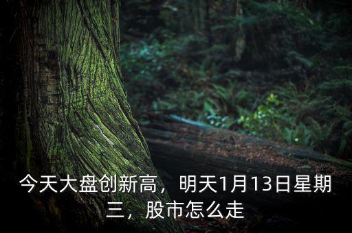 今天大盤創(chuàng)新高，明天1月13日星期三，股市怎么走
