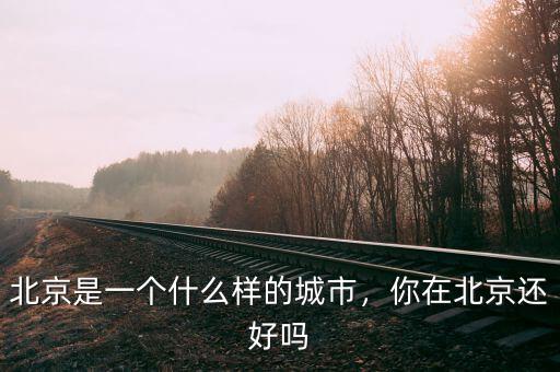 北京是一個什么樣的城市，你在北京還好嗎