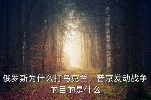 俄羅斯為什么打?yàn)蹩颂m，普京發(fā)動(dòng)戰(zhàn)爭(zhēng)的目的是什么