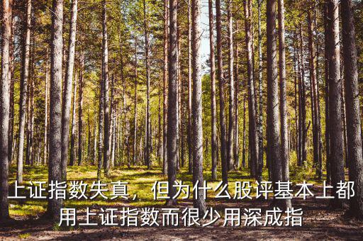 上證指數失真，但為什么股評基本上都用上證指數而很少用深成指