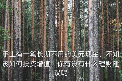 手上有一筆長期不用的美元現(xiàn)金，不知該如何投資增值，你有沒有什么理財建議呢