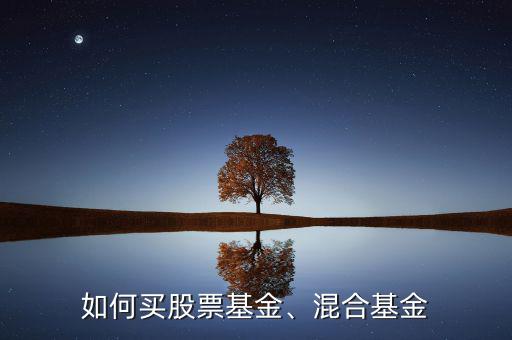 如何買股票基金、混合基金