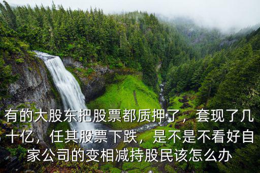 有的大股東把股票都質(zhì)押了，套現(xiàn)了幾十億，任其股票下跌，是不是不看好自家公司的變相減持股民該怎么辦