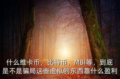 什么維卡幣，比特幣，MBI等，到底是不是騙局這些虛擬的東西靠什么盈利