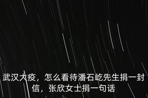 武漢大疫，怎么看待潘石屹先生捐一封信，張欣女士捐一句話