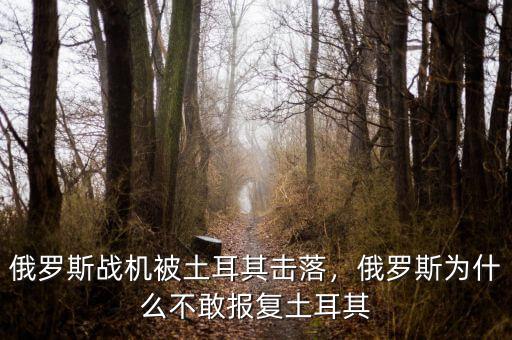 俄羅斯戰(zhàn)機(jī)被土耳其擊落，俄羅斯為什么不敢報(bào)復(fù)土耳其