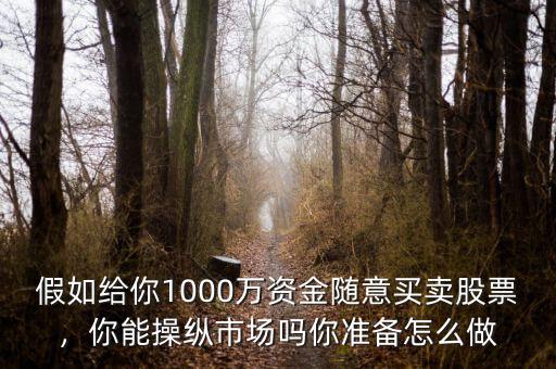 假如給你1000萬資金隨意買賣股票，你能操縱市場嗎你準備怎么做