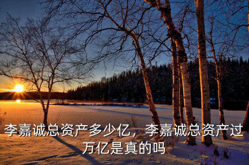 李嘉誠(chéng)總資產(chǎn)多少億，李嘉誠(chéng)總資產(chǎn)過萬(wàn)億是真的嗎