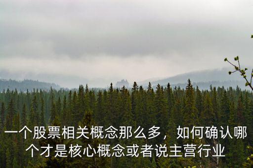 一個股票相關(guān)概念那么多，如何確認(rèn)哪個才是核心概念或者說主營行業(yè)